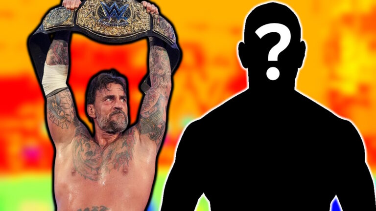 WWE star CM Punk