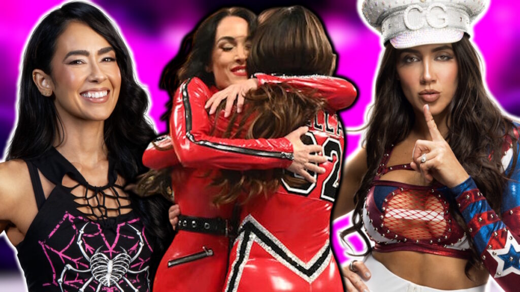 WWE stars AJ Lee, The Bella Twins and Chelsea Green