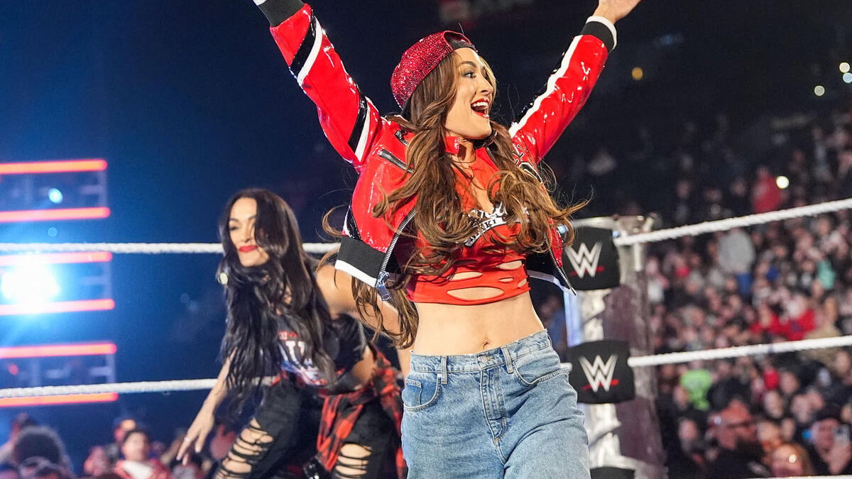 Nikki & Brie Bella in WWE