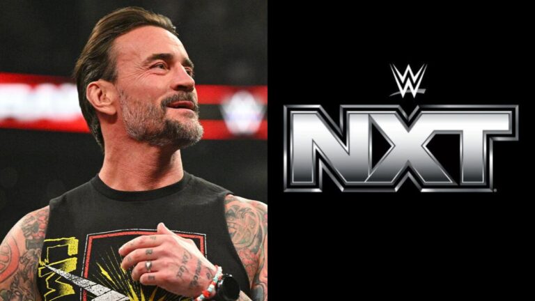 WWE star CM Punk next to the NXT logo