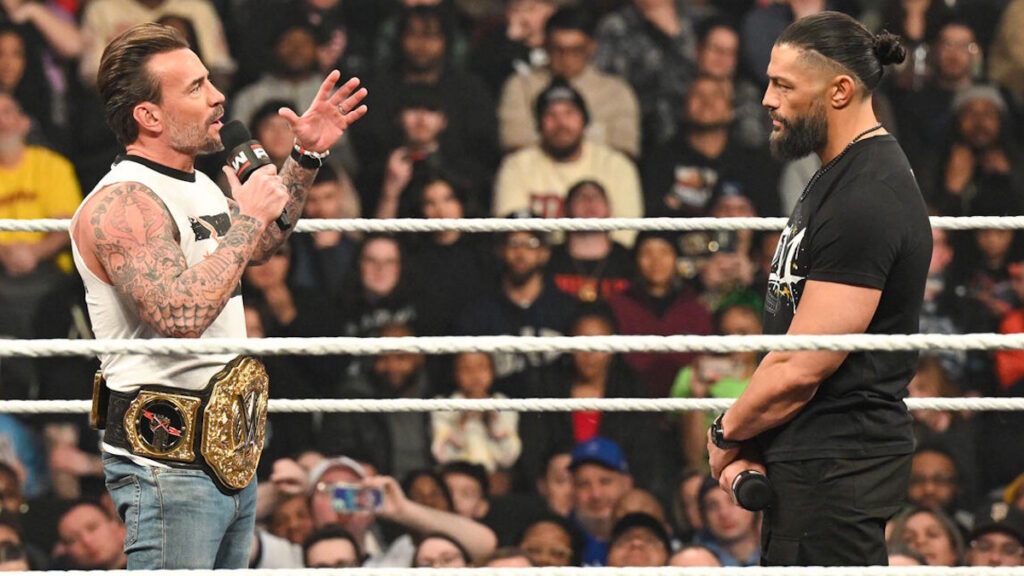WWE stars CM Punk and Roman Reigns
