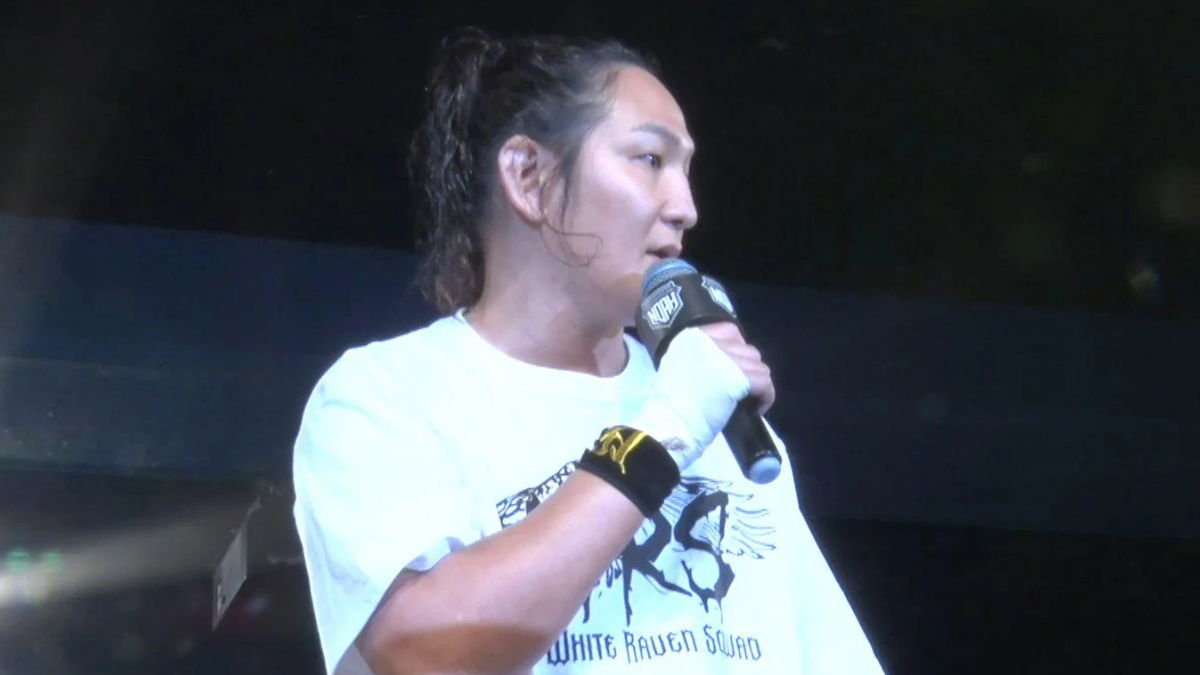 7 Stars From Other Companies To Debut In WWE