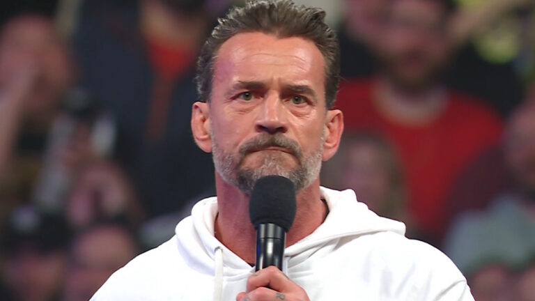 WWE star CM Punk
