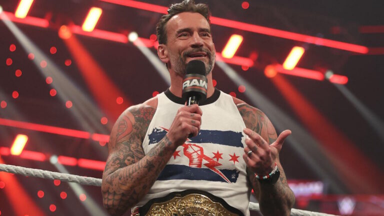 WWE Star CM Punk
