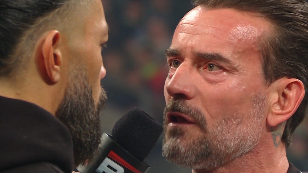 WWE stars Roman Reigns and CM Punk