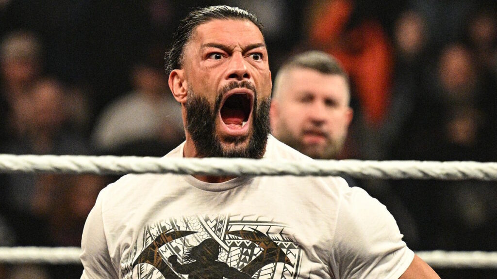 WWE star CM Punk