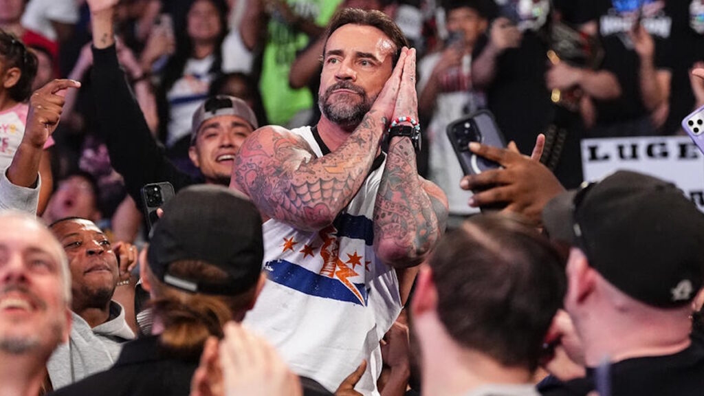 WWE star CM Punk
