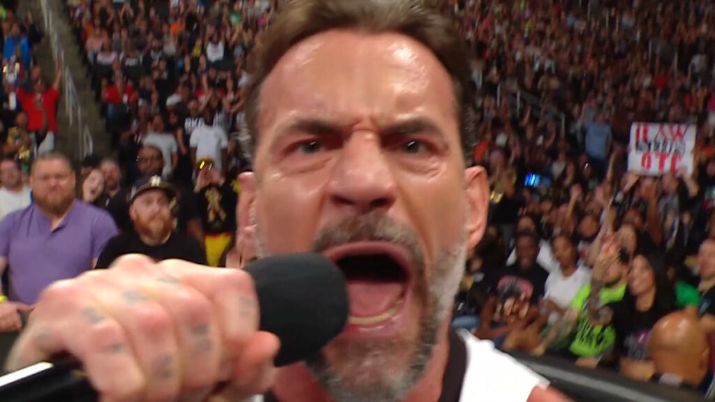 WWE star CM Punk