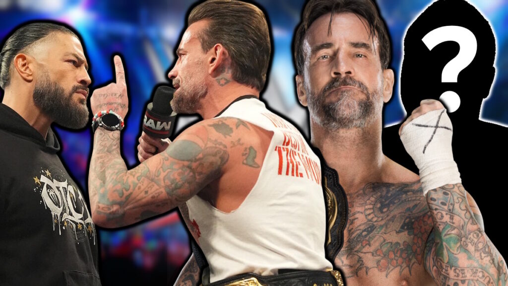 WWE stars CM Punk and Roman Reigns