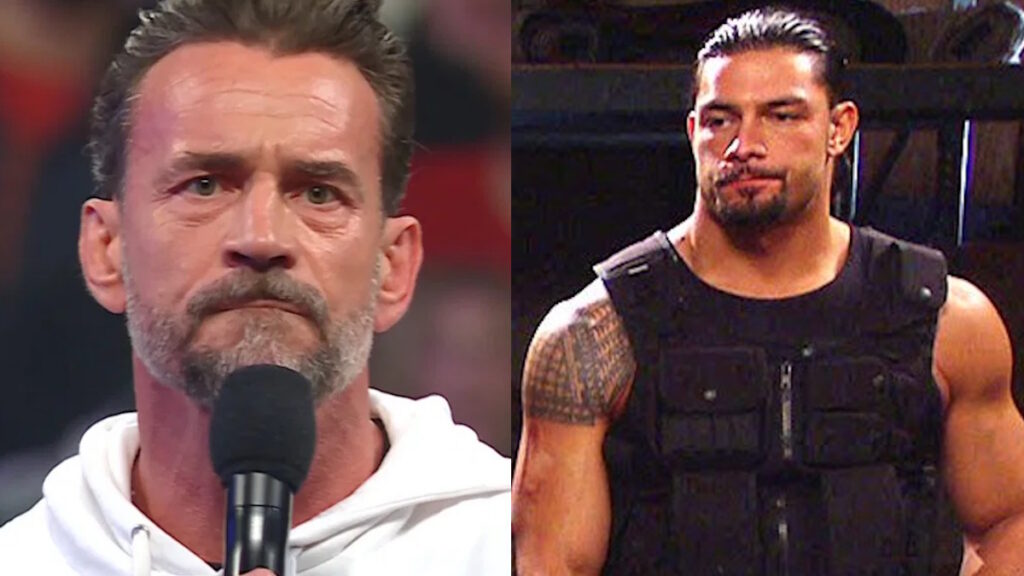 WWE stars CM Punk and Roman Reigns