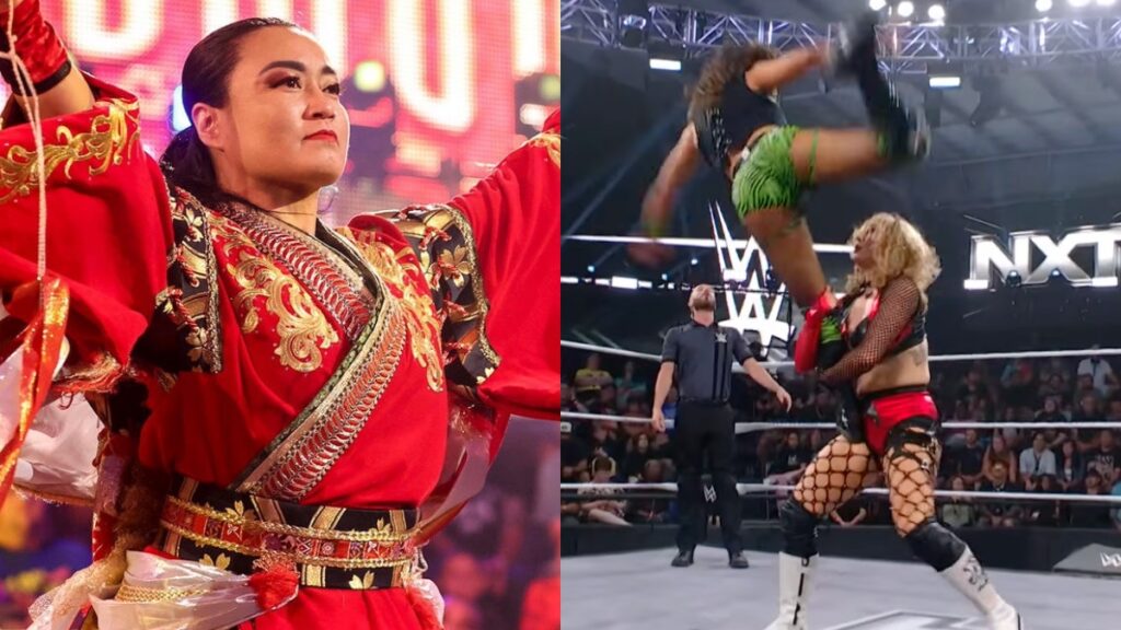WWE stars Meiko Satomura and Lizzy Rain