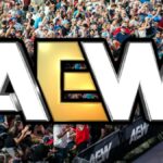 AEW logo over the fans