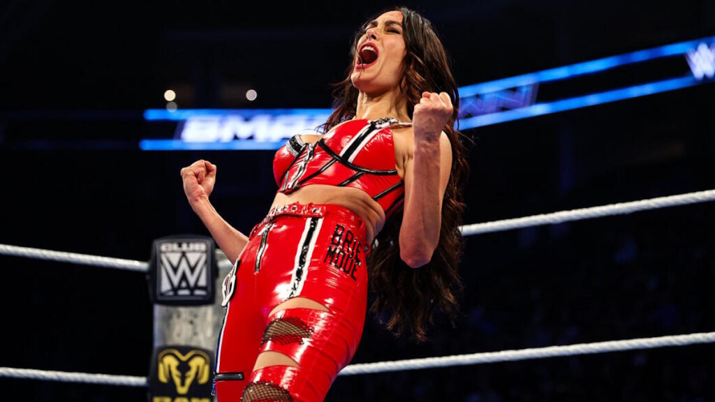 WWE Hall of Famer Brie Bella