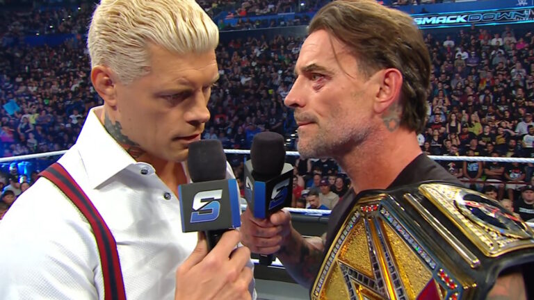 WWE stars CM Punk and Cody Rhodes