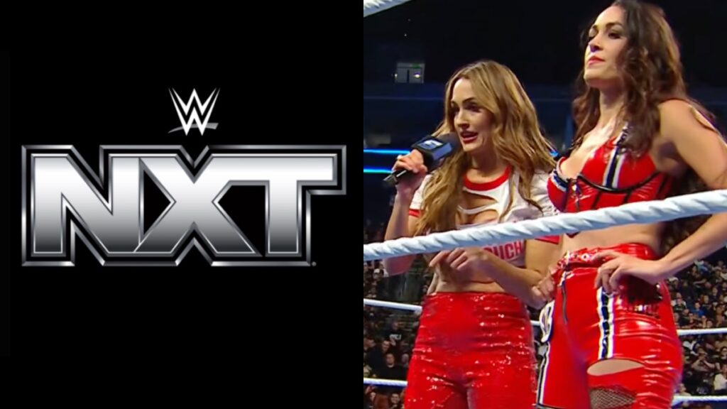 The Bella Twins alongside WWE NXT logo