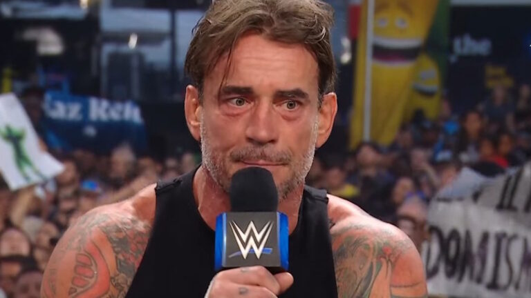 WWE star CM Punk