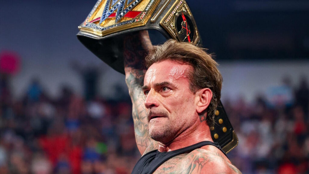 Undisputed WWE Champion CM Punk