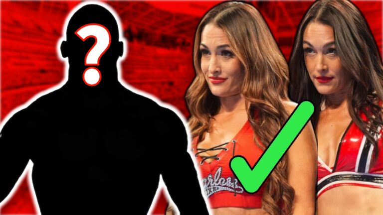 WWE's The Bella Twins