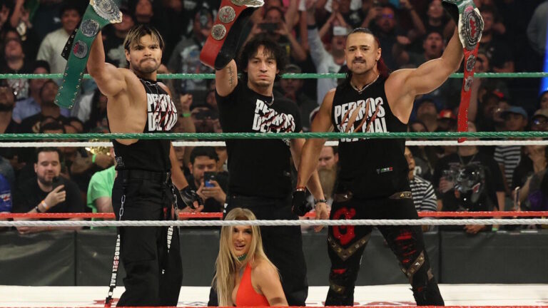 WWE AAA's Los Perros Del Mal