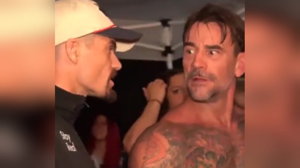 WWE stars Grayson Waller and CM Punk