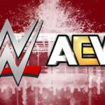 The WWE and AEW logo over the stylized Blood and Guts cage